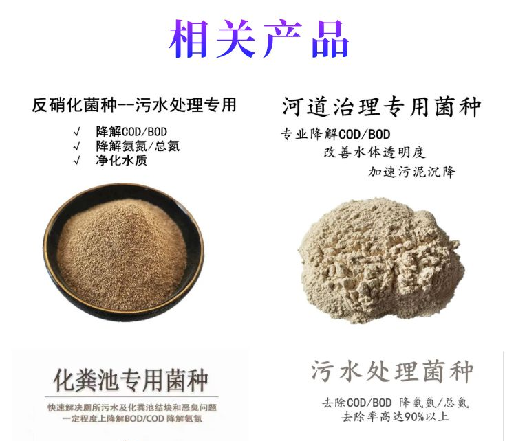 污水處理菌種