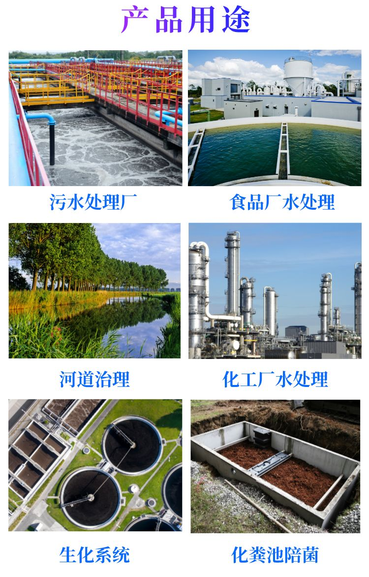 厭氧菌種詳情頁7.png
