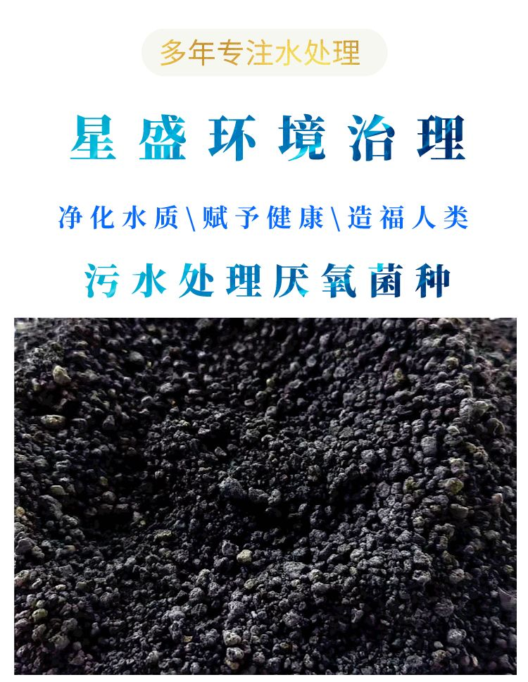 厭氧菌種詳情頁1.png