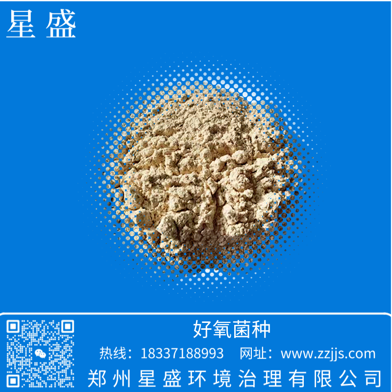 星盛好氧菌種